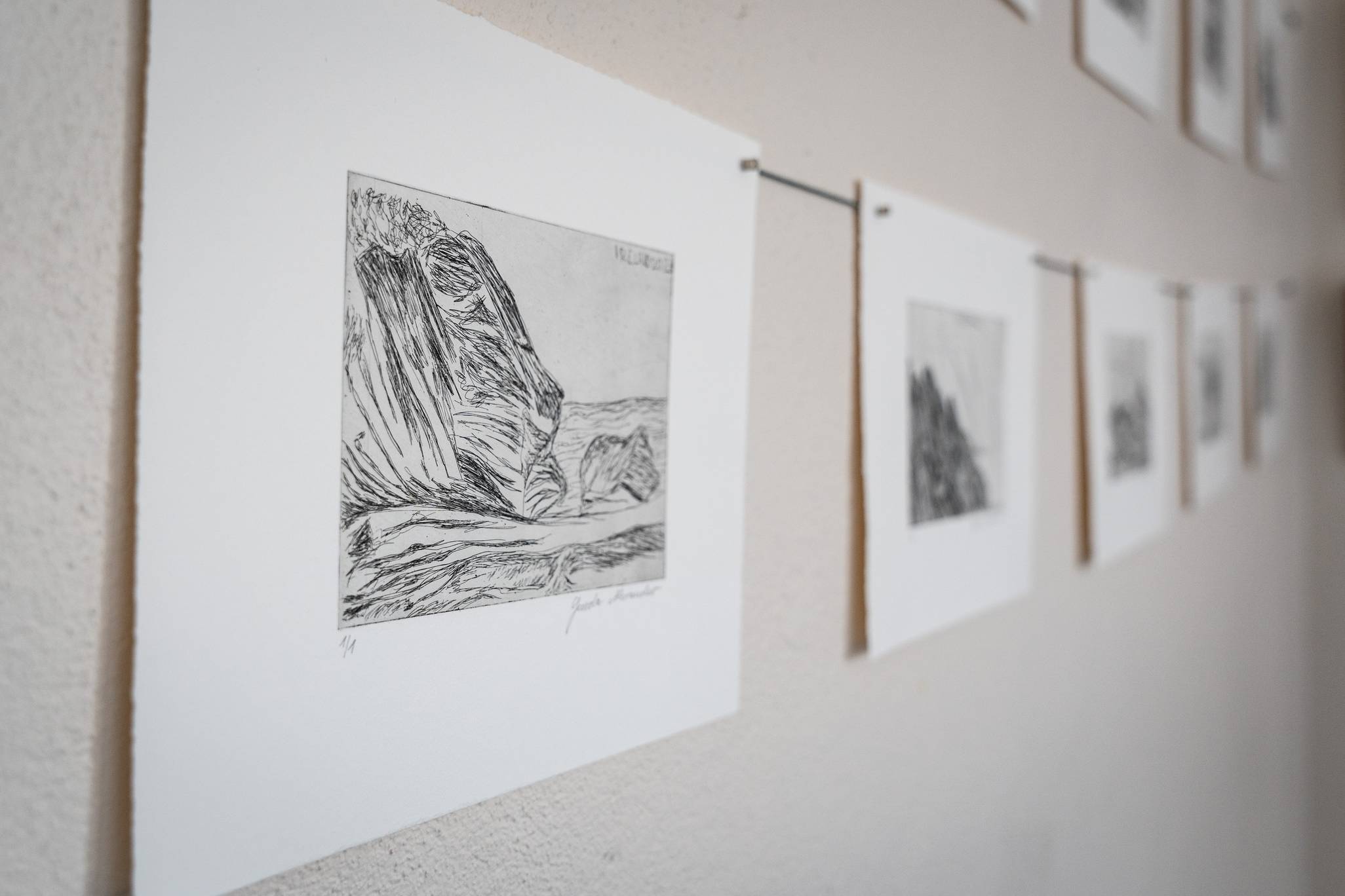 Taispeántas líníochta le Garda Alexander ag Oideas Gael