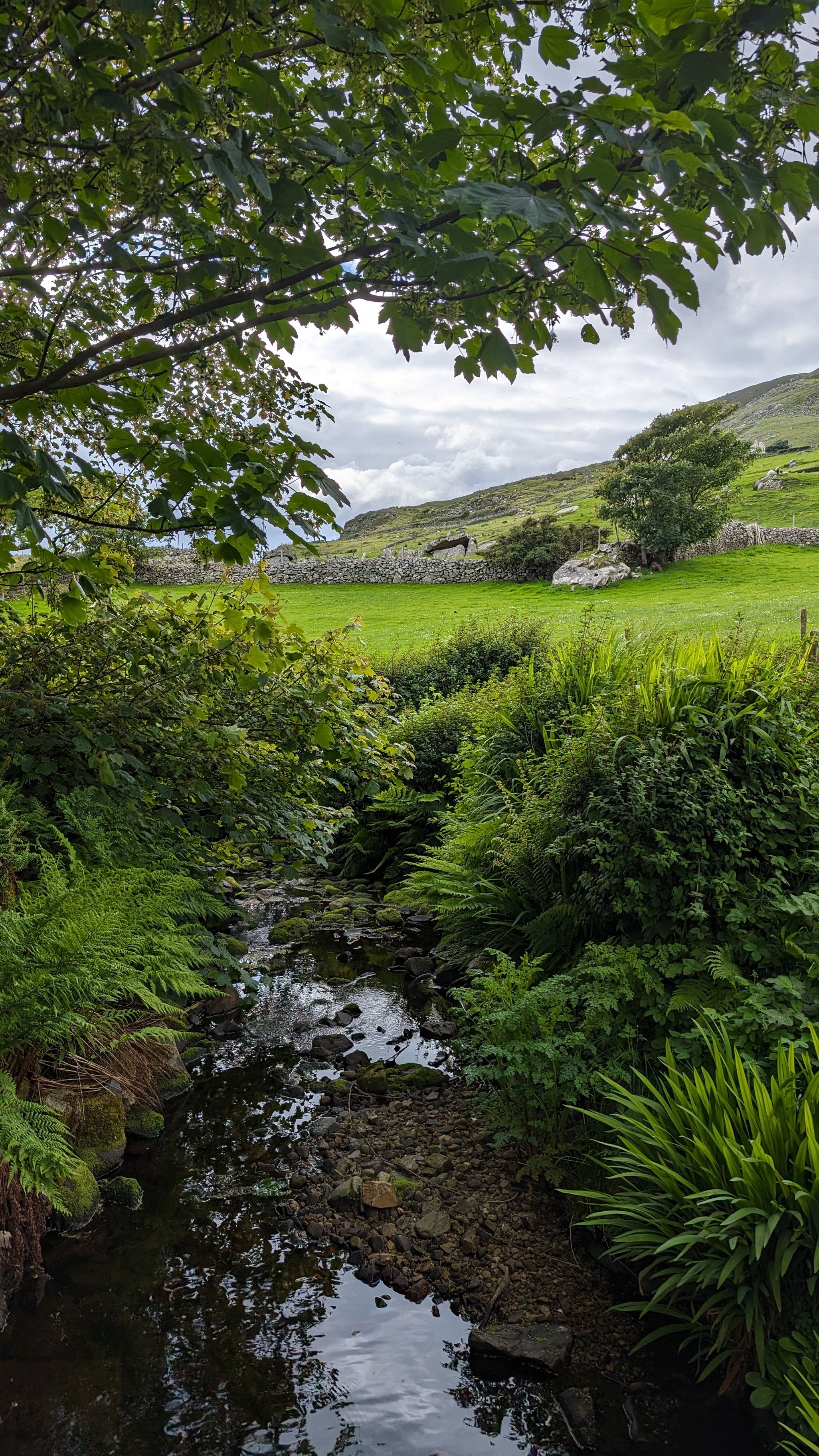 Sruthán ag Fearann Mac Giolla Bhríde